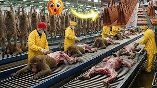 Download Lagu Inside the Monkey-Pattern Leather Factory – Full Process How Million-Dollar Bags Are Made MP3