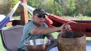 canning grape juice and review canning lids