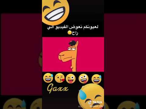 حنا الي خلينا رقبت الزرافه طويله وتكم
