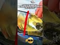¿Por qué todos guardan PASTA DE DIENTES en su auto? 😲🪥