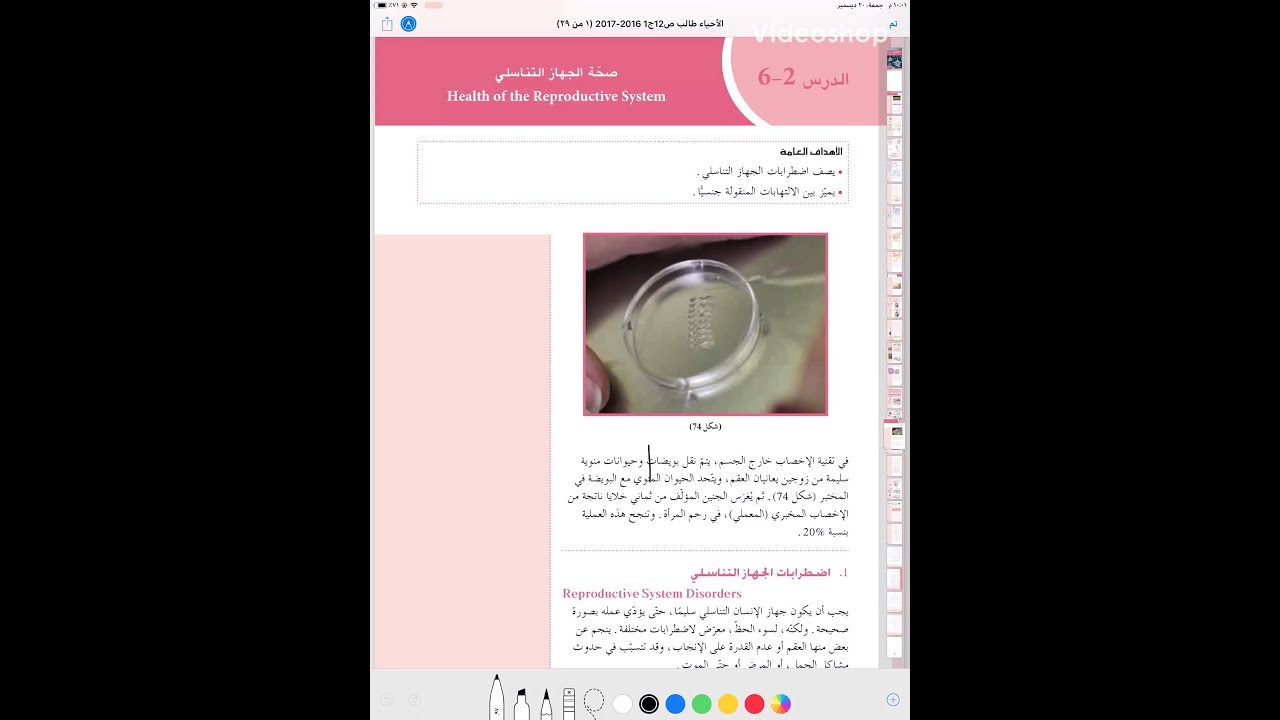 صحة الجهاز التناسلي