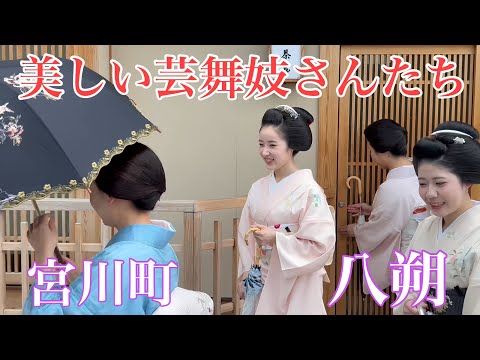 美しい芸舞妓さんたちの挨拶まわり 2024宮川町八朔 geisha and maiko 【4K】総集編