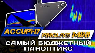 картинка: Accuphy PingLive Mini: ЧТО УМЕЕТ САМЫЙ ДЕШЕЙ Live-сонар! ТОП выбор для ЗИМЫ и не только!