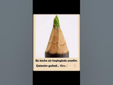 🌴Онажоним сизни яхши кўраман 🥲 Сизнинг жаннатингиз бўлган Онажонизни ...