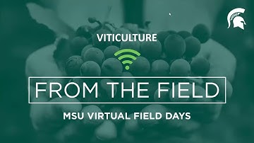 Viticulture Virtual Field Day featuring Rufus Isaacs and Jackie Perkins.