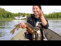Bent Poles & Tight Lines | Pickled Pike Catch and Cook