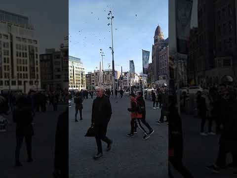 Video: Famous Squares (Pleinen) Amsterdamissa, Alankomaissa