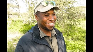 Visit Ndutu with Professional Guides