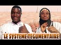 Le systeme tegumentaire