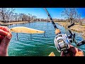 The smallmouth bass were crushing this jerkbait insane early spring creek fishing