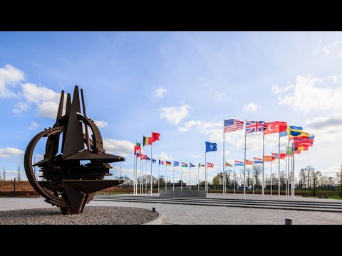 Interviu cu Oana Lungescu, cel mai longeviv purtător de cuvânt din istoria NATO