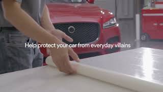 3M PPF - Phim bảo vệ sơn xe cao cấp