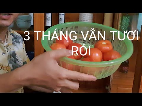 Video: Cách Bảo Quản Cà Chua đúng Cách. Phần 3