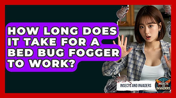 How Long Does It Take For A Bed Bug Fogger To Work? - Insects and Invaders