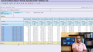 Profitability Analysis (COPA) SAP Demo - تحليل الربحية 2 screenshot 3