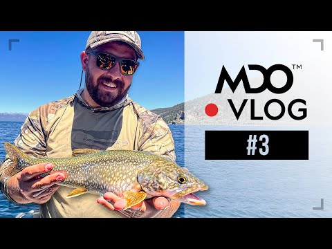 LAKE TAHOE Jigging 'Mackinaw' Lake Trout + Wild Brown Trout! - MDO