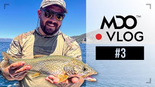 LAKE TAHOE Jigging 'Mackinaw' Lake Trout + Wild Brown Trout!  MDO Vlog #3