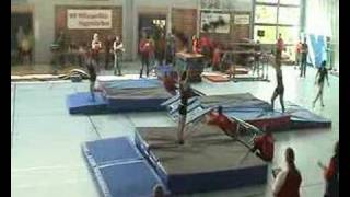 TLZ Utenberg (BTV Luzern) - Sprünge Gym-Day 2008