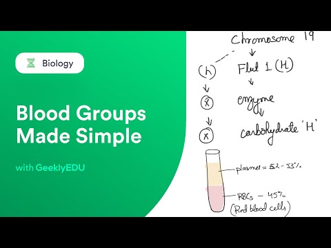 Blood Groups | ABO Blood Typing & Blood Transfusion