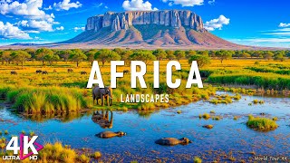 Download Lagu Majestic Africa (4K UHD) – Journey Through the Wild World | Gentle Piano MP3 Download Lagu Majestic Africa (4K UHD) – Journey Through the Wild World | Gentle Piano MP3
