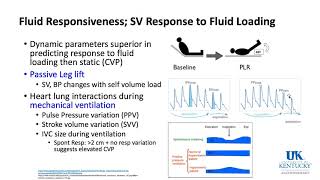 University of Kentucky Cardiac KeyWord Review Part 2 of 3 - (Dr. Schell)