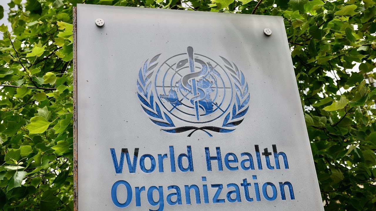World Health Organization officials deliver an update on the coronavirus pandemic