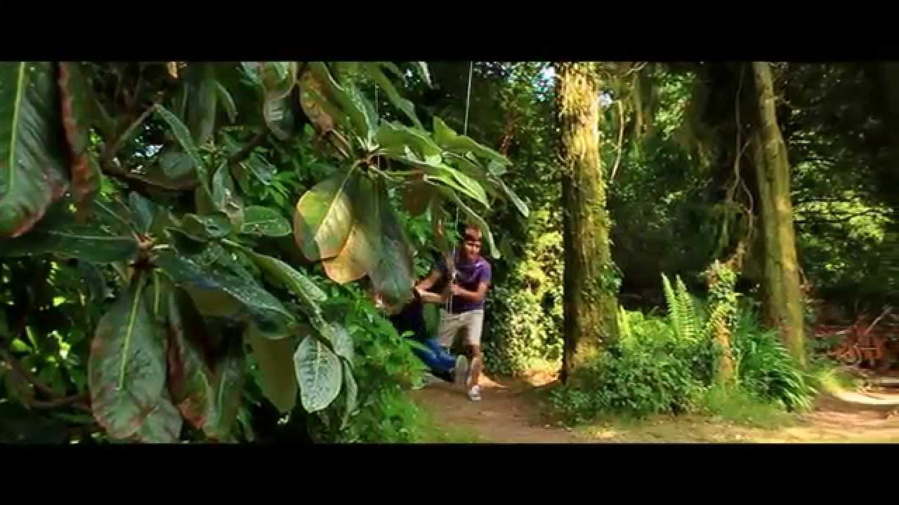 Hagal Healing Farm, Bantry, West Cork, Ireland