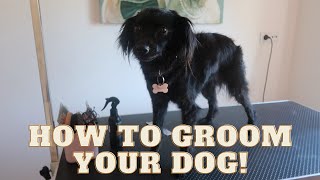 GROOMING MY OWN DOG | RURAL DOG GROOMING by Rural Dog Grooming 230 views 9 months ago 17 minutes
