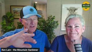 Are Single or Multi Trunk Aspen Better? Details