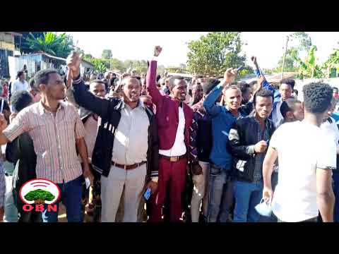 Hiriira Baalee Fi Bunnoo Beddellee