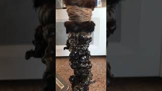 Witches Staff