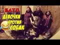 СОБАКИ ПОДПЕВАЮТ ЩЕДРОВКИ и КОЛЯДКИ / ШОК КОНТЕНТ