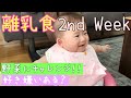離乳食２週目！野菜に挑戦！好き嫌いはあるかな〜？！Starting Solids(second week)