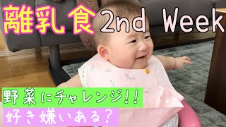 離乳食２週目！野菜に挑戦！好き嫌いはあるかな〜？！Starting Solids(second week)