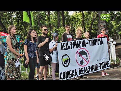 Дельфинарий - это тюрьма. Харьковчане вышли на пикет океанариума Дельфинарий - это тюрьма. Харьковчане вышли на пикет океанариума