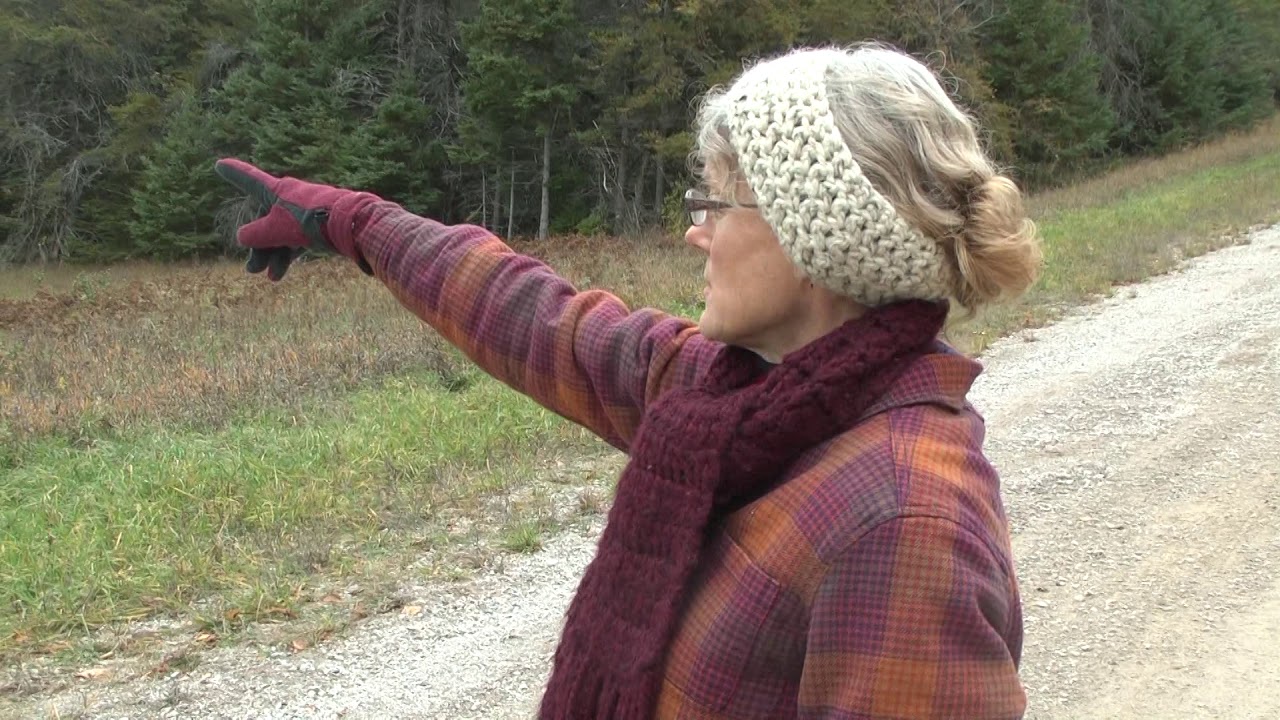 Wind turbines causing controversy in Presque Isle County