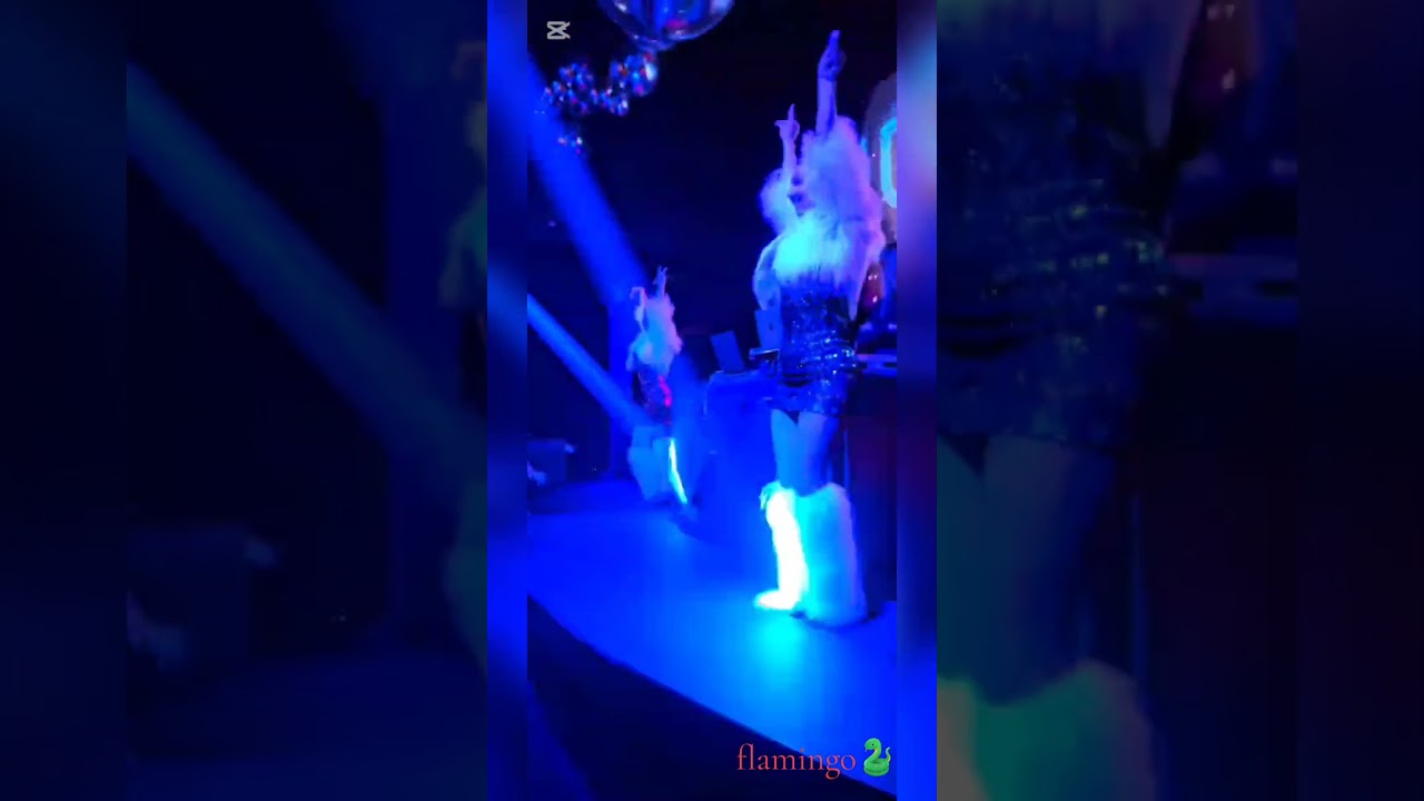 Dansatori , club Hype. FLAMINGO SHOW. dansatori la corporative. 060034049