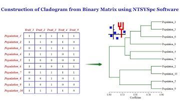 Construction of Cladogram from Binary Matrix using NTSYSpc Software #bioinformatics #biogem
