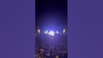 Steve Aoki - Untold Music Festival 2024 Romania #untold #best #cool #short #shorts #music