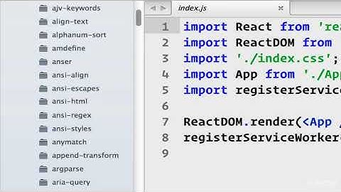 REACT - Up and Running with React ES6 and Open Source API : Introduction to folder structure