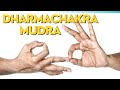 Mudra practiced by buddha  dharmachakra mudra turning the wheel of dharma  ep  49 gangothri 