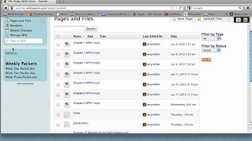 Wiki Demo - Webster ESL Class.mp4