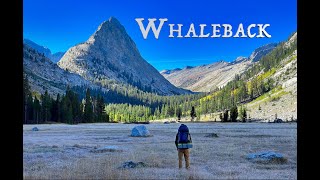 Whaleback  One of the Most Striking and Remote Peaks in the Sierra