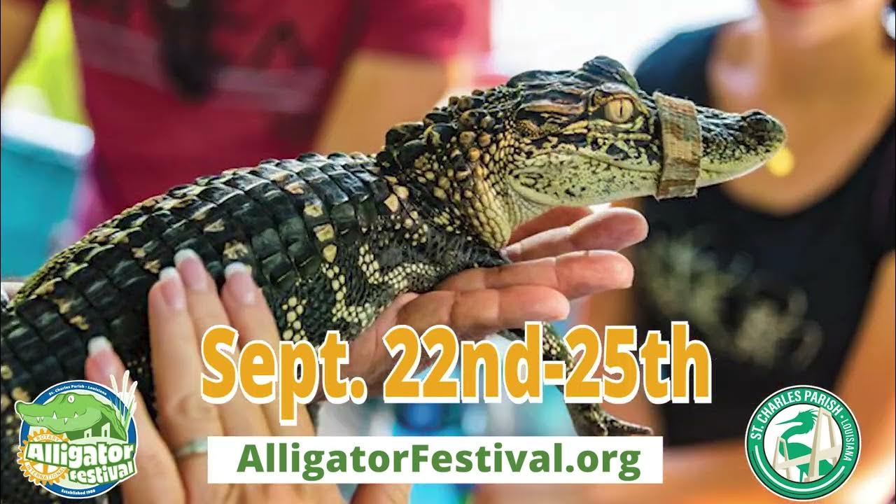 Alligator Fest 2022 15 YouTube
