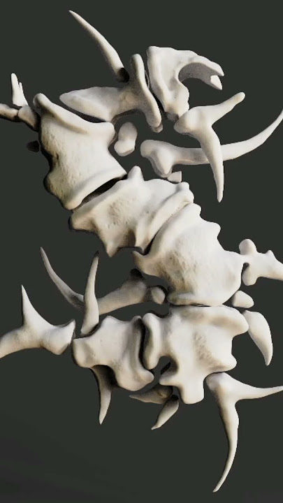 sepultura history #shortvideo #populersong