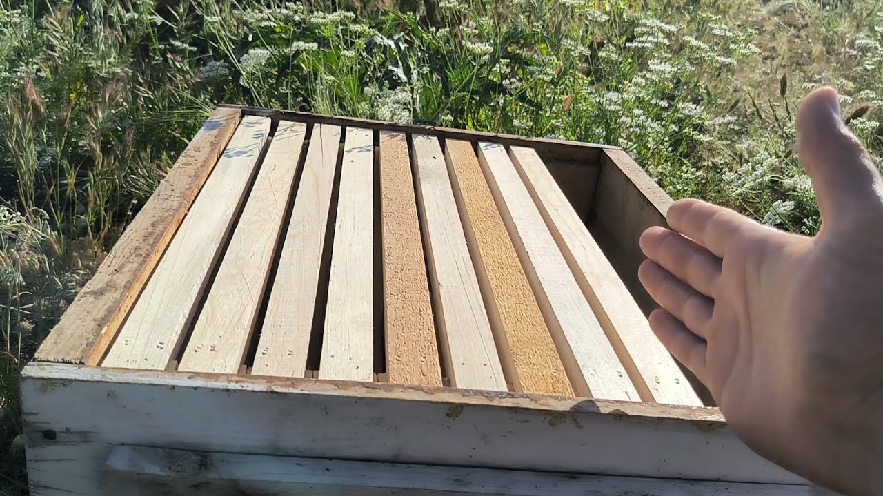 Arıcılıkta 6-7-8-9 sistemi nedir? Zayıf arılardan bal alma yöntemi..#arıcılık #honeybee #bee