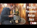 WORKSHOP COM RODRIGO COM CASCATA (PROCUMBENS) | Como Fazer Bonsai