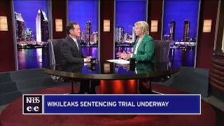 What's Next For Wikileaks Espionage Case?