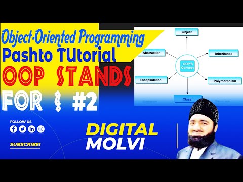 OOP stands for Object-Oriented Programming? In Pashto C++ for beginners | oop in c++ Pashto by IT 2