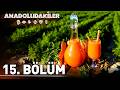 Anadoludakiler 15 Bölüm Ankara